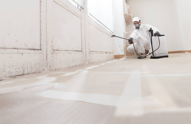 24/7 Emergency Mold Testing experts in Goldsboro, NC