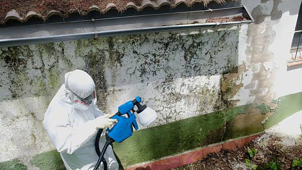 Trusted Mold Testing service in Goldsboro, NC - Cheap Mold Removal